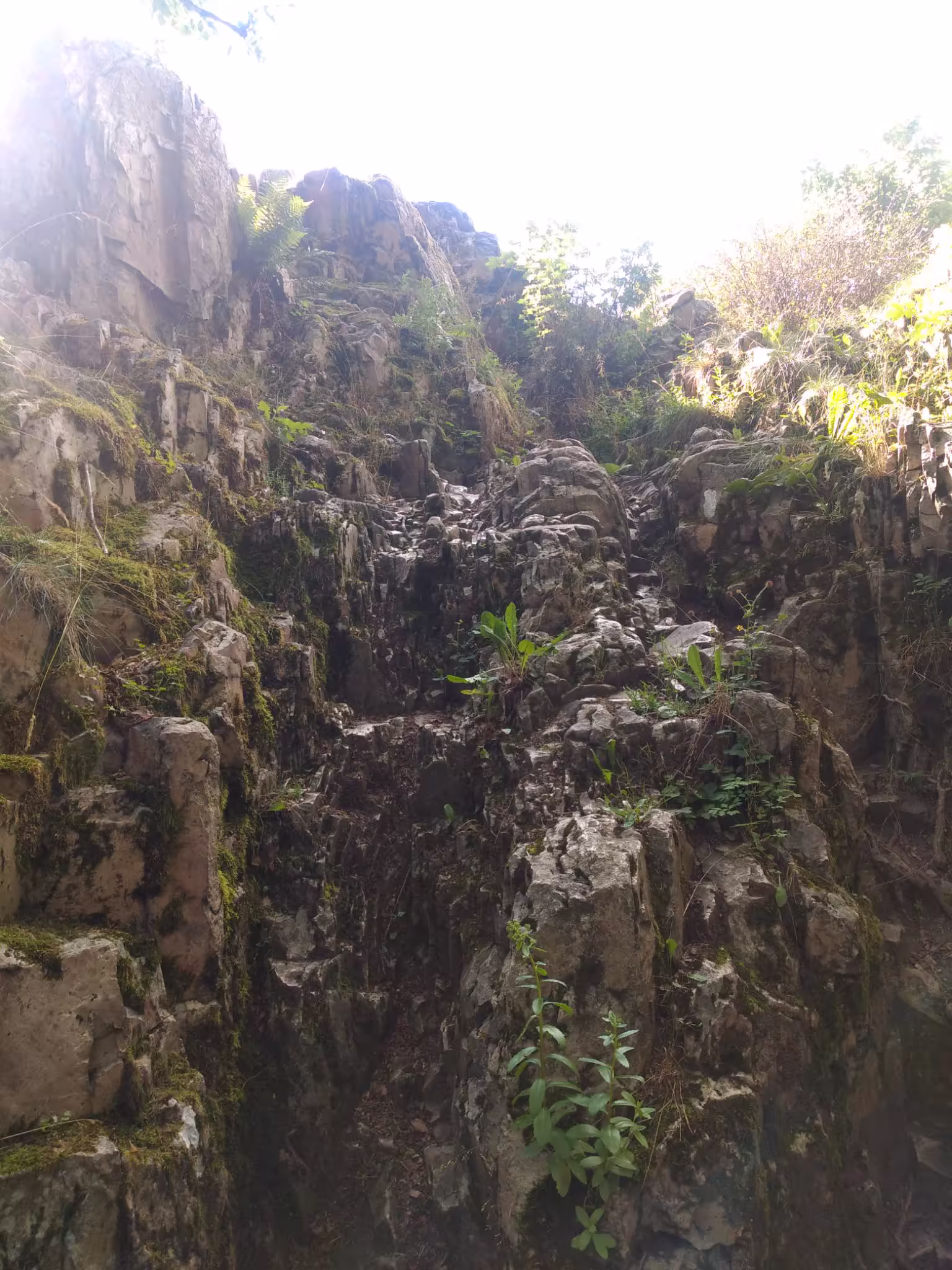 A nice rock formation at the top of the big hill that I climbed up. Ragged stone faces in different shades of grey are overgrown by mosses, ferns and other short, leafy plants. The sunlight from behind the rocks produces a glare on the top edge. In the top right of the picture, some brightly lit plants fade into the white sky.
